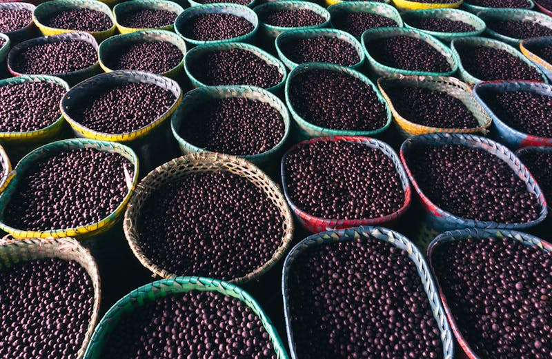 Colorful baskets filled with acai berries at a market in Belém, Pará, showcasing local culture and sustainability.