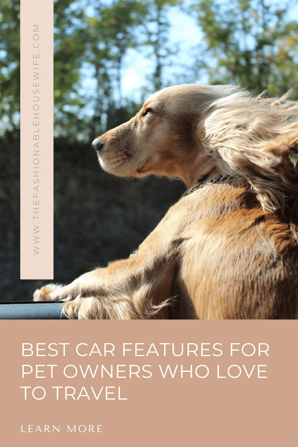 Best Car Features for Pet Owners Who Love to Travel
