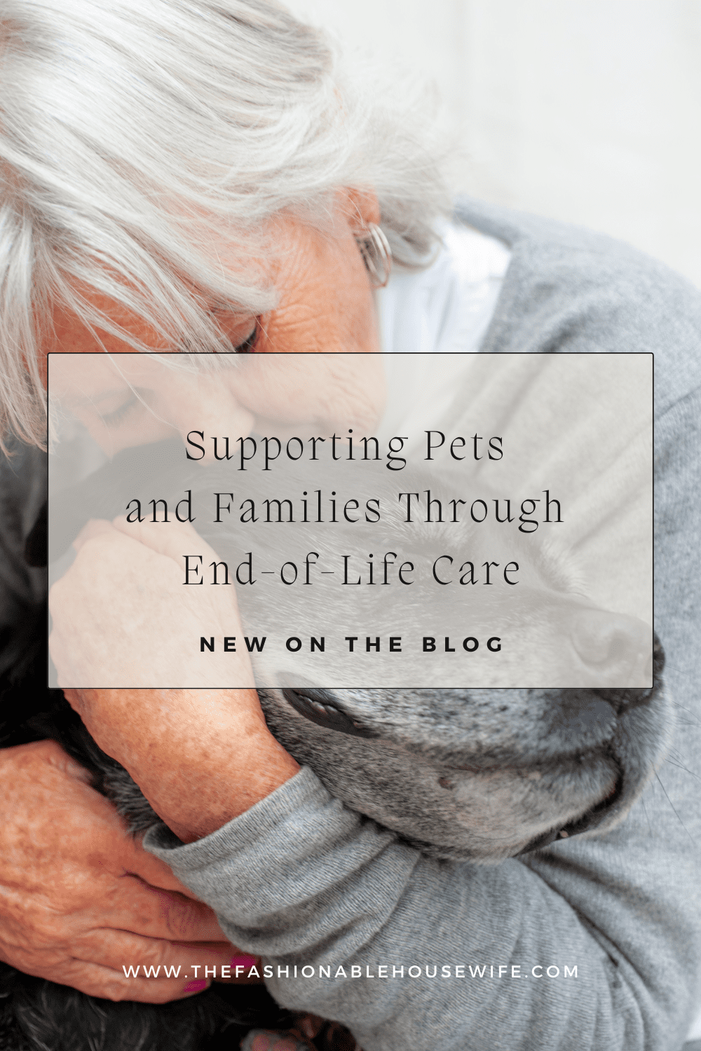 Supporting Pets and Families Through End-of-Life Care