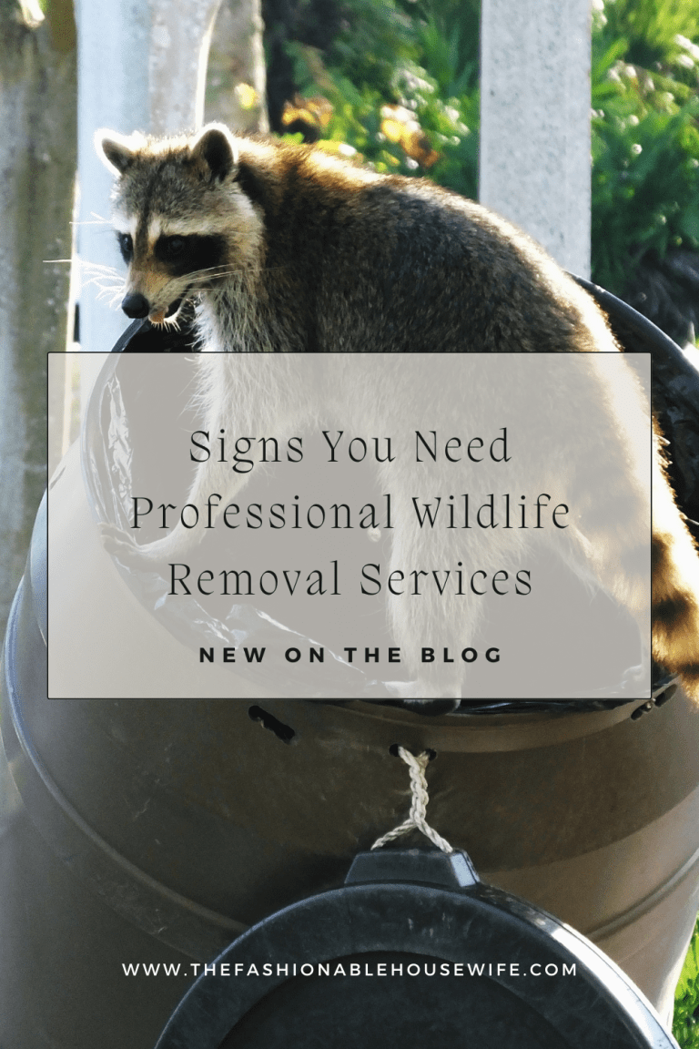 Signs You Need Professional Wildlife Removal Services