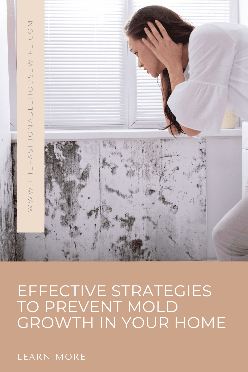 Effective Strategies to Prevent Mold Growth in Your Home