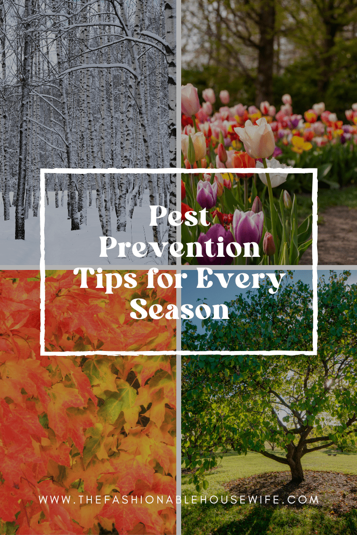 Pest Prevention Tips for Every Season