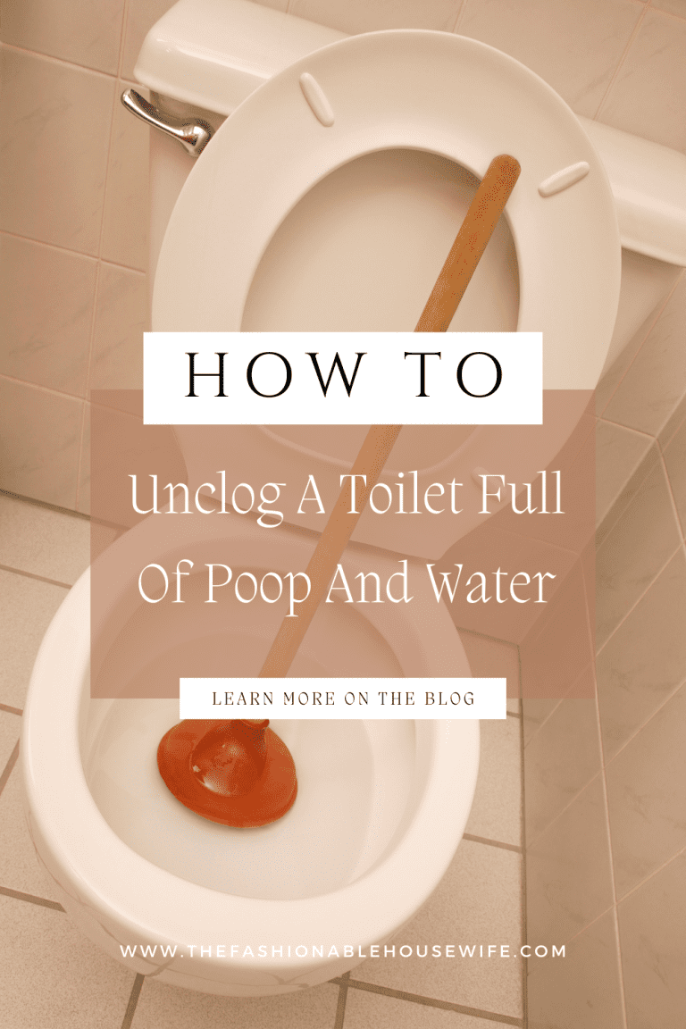 How To Unclog A Toilet Full Of Poop And Water