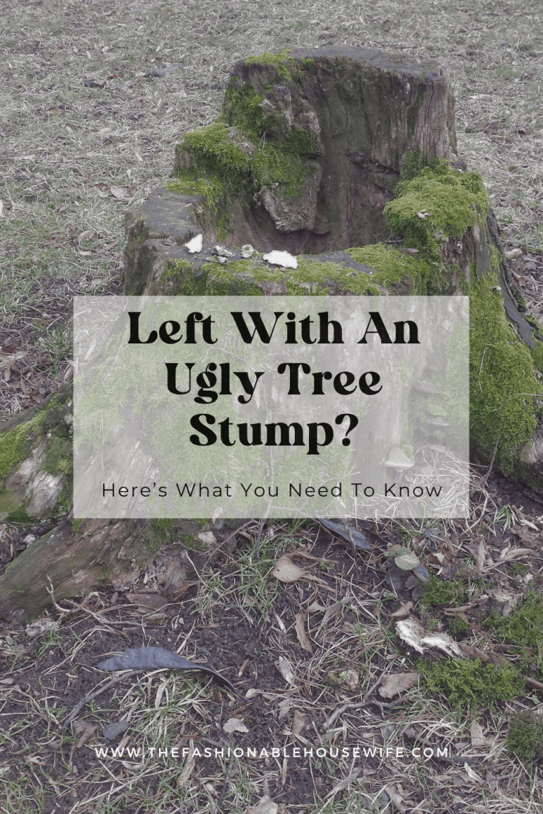 Left With An Ugly Tree Stump? Here’s What You Need To Know