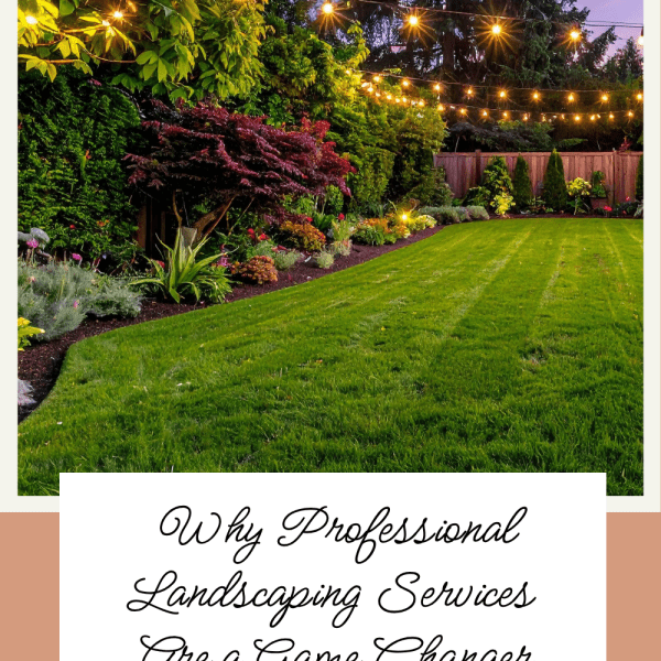 Why Professional Landscaping Services Are a Game Changer