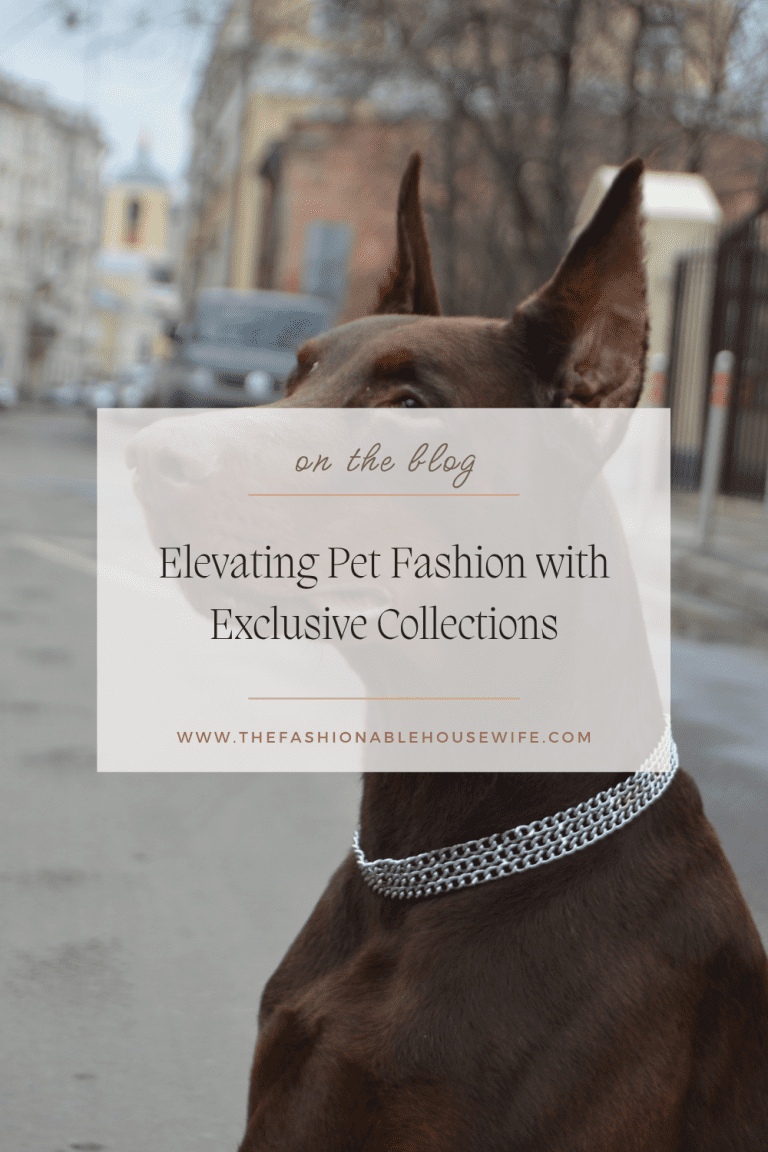 Elevating Pet Fashion with Exclusive Collections