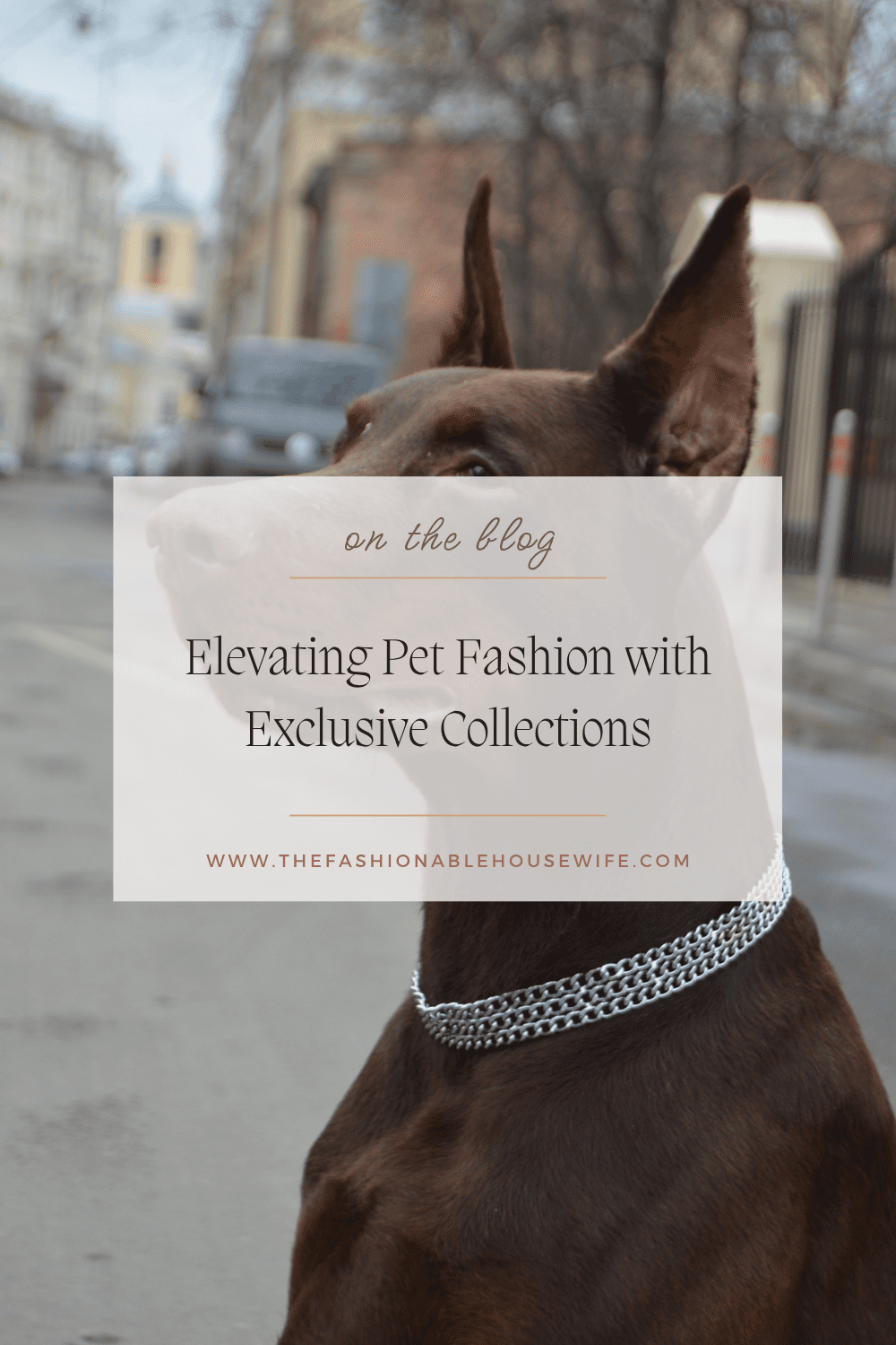 Elevating Pet Fashion with Exclusive Collections