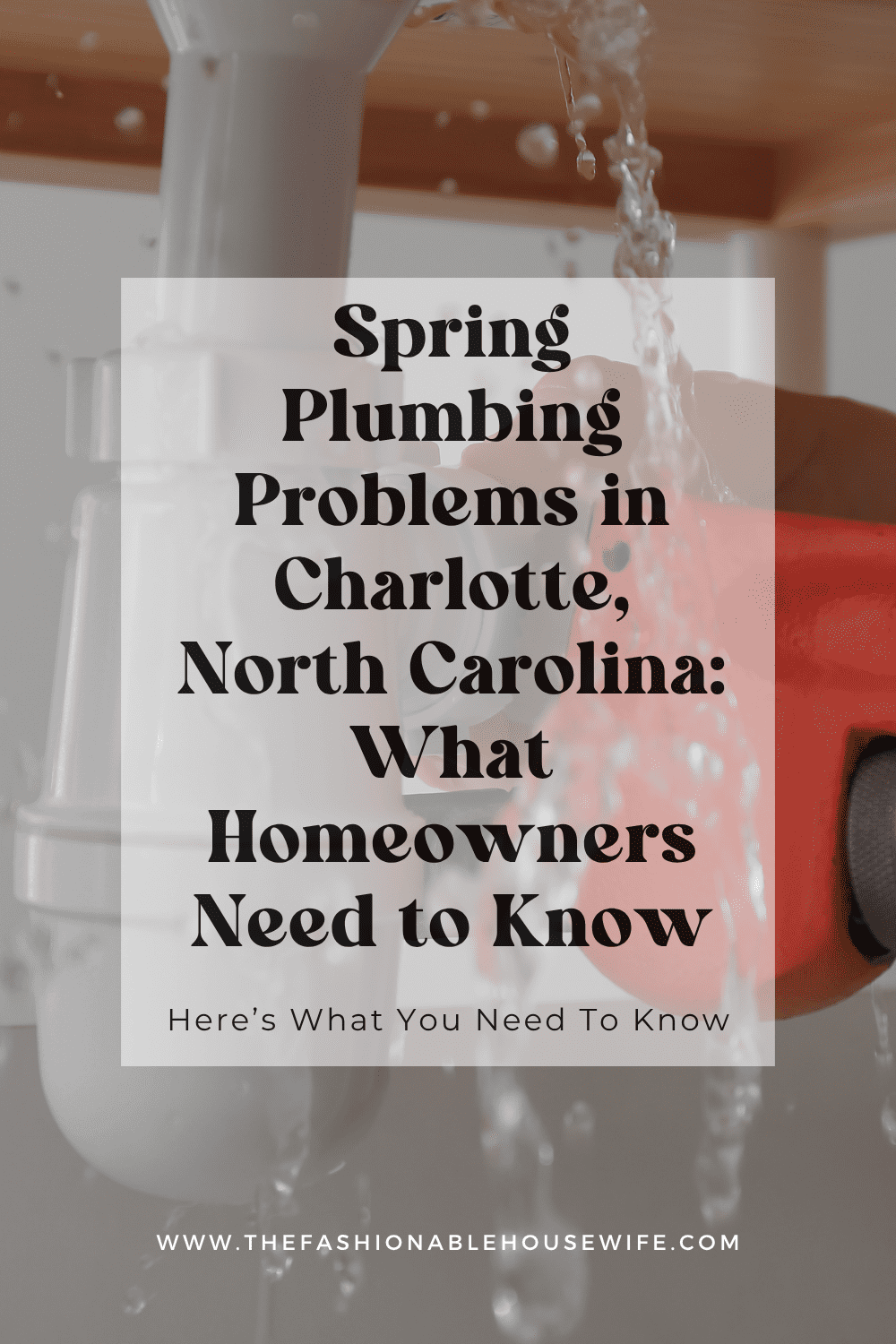 Spring Plumbing Problems in Charlotte, North Carolina: What Homeowners Need to Know