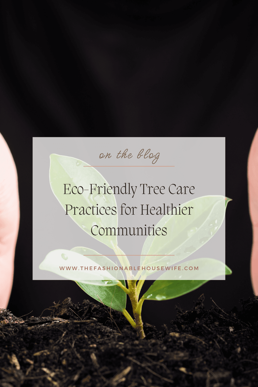 Eco-Friendly Tree Care Practices for Healthier Communities