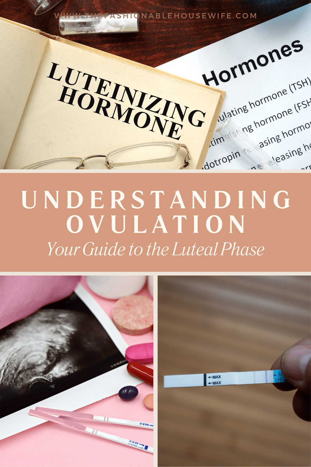 Understanding Ovulation: Your Guide to the Luteal Phase