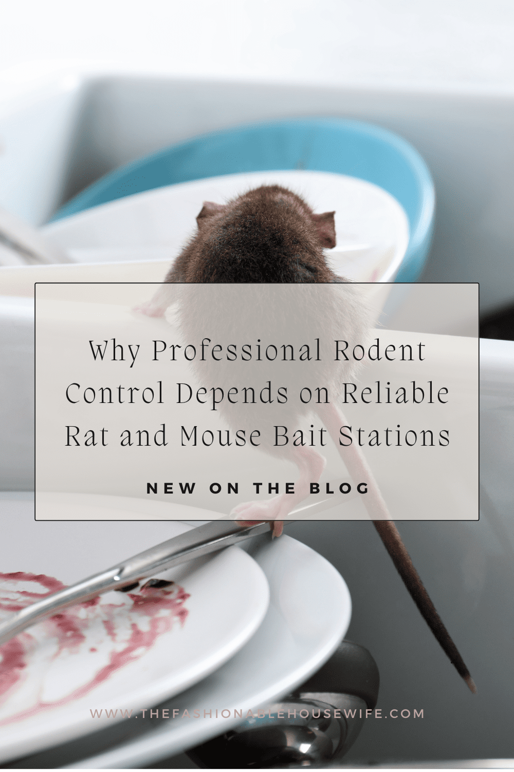 Why Professional Rodent Control Depends on Reliable Rat and Mouse Bait Stations